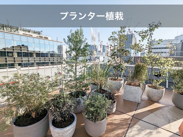 プランター植栽