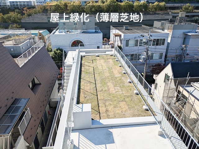 屋上緑化(薄層芝地)