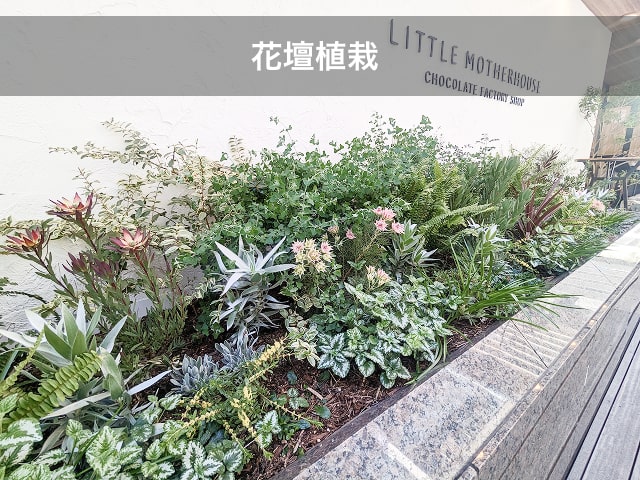 花壇植栽