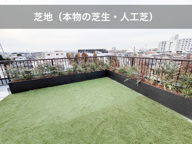 芝地(本物の芝生・人工芝)